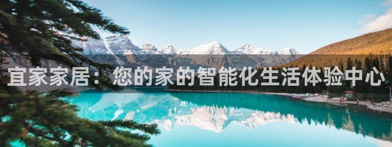 九游会 app下载：