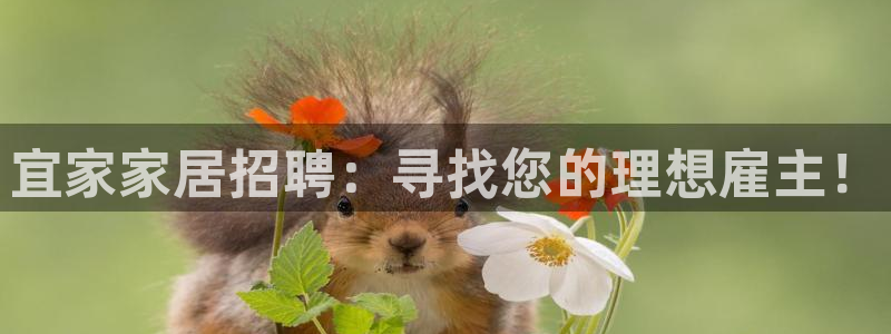 九游会 app下载