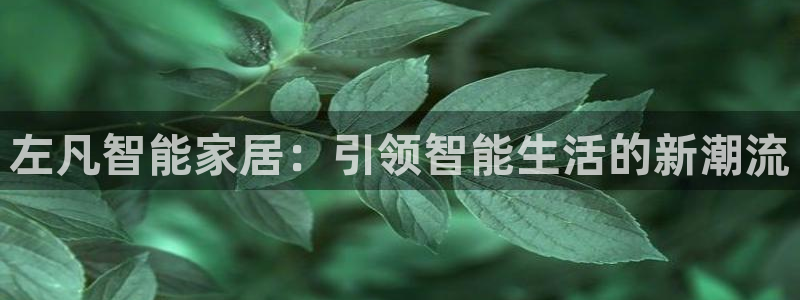 九游官网j9活动介绍