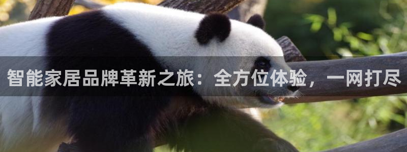 九游会官网入口