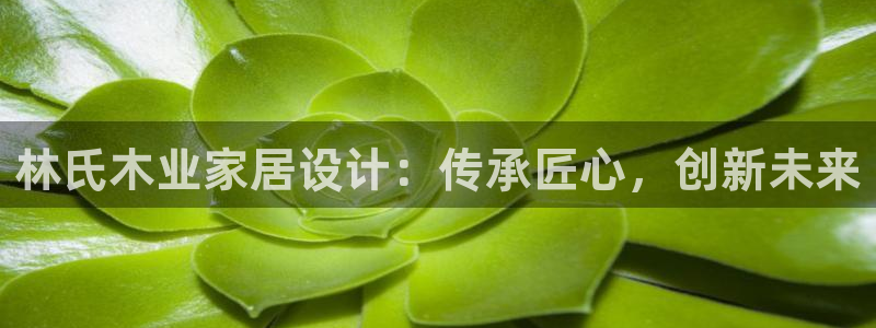 九游会集团新的选择