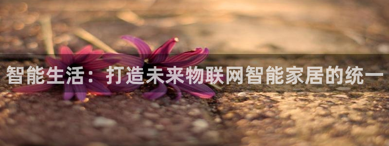 J9九游会-真人游戏第一品牌