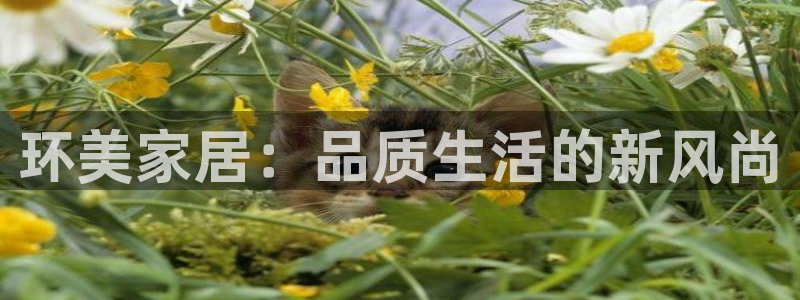 九游会客户端官网