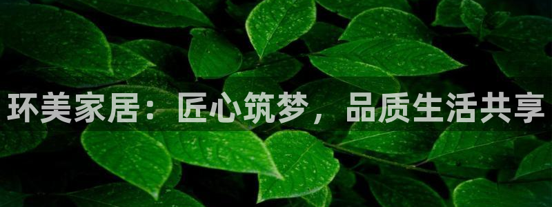 ag九游会登入