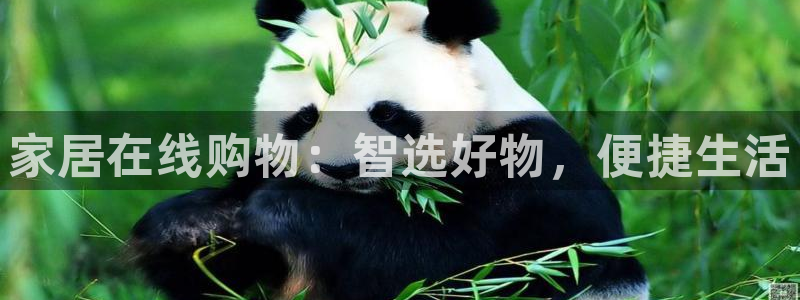 九游会登陆地址