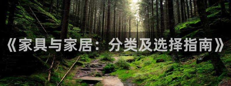 九游会视讯,九游会视讯厅