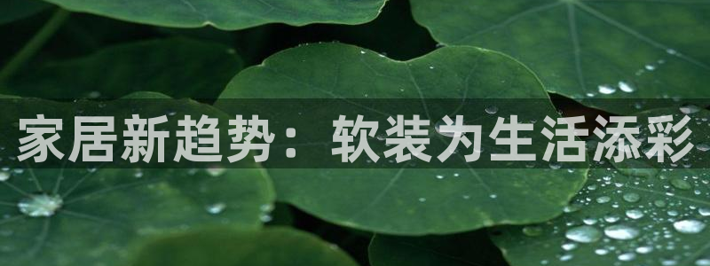 j9九游会平台：家居