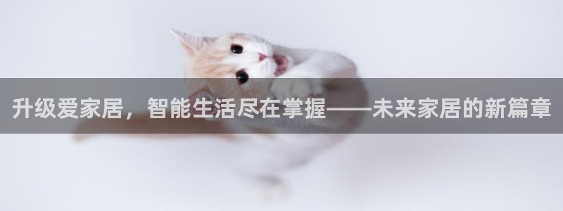 J9九游会国际站：升