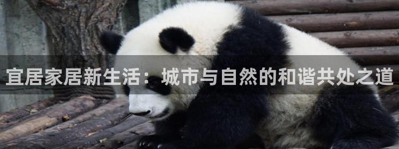 九游会官网登录入口网