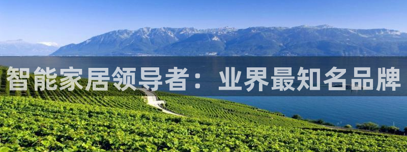 九游j9会
