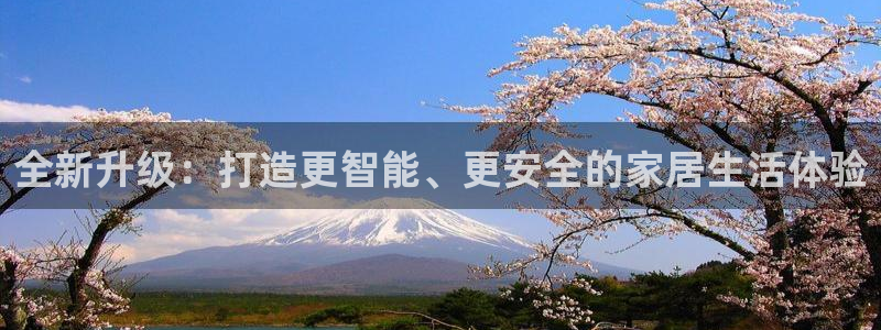 九游会跟ag是怎么一回事