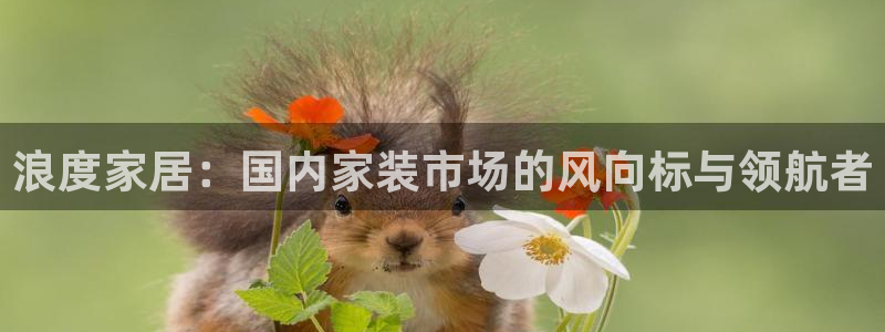 九游会黑吗