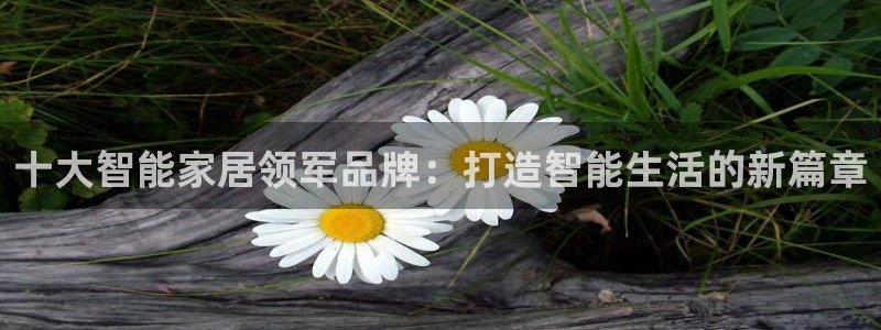j9九游会ag私享：